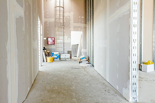 Best Drywall Sanding and Smoothing  in Merrifield, VA